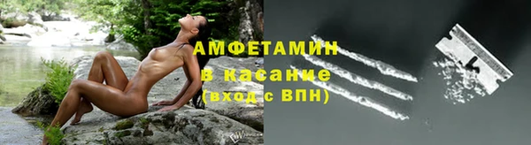 прущие грибы Алексин
