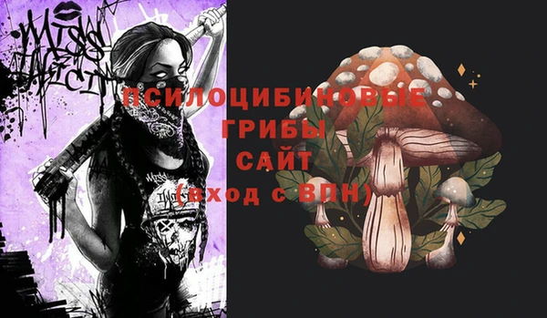 прущие грибы Алексин