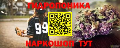 ГАЛЛЮЦИНОГЕННЫЕ ГРИБЫ Усть-Джегута