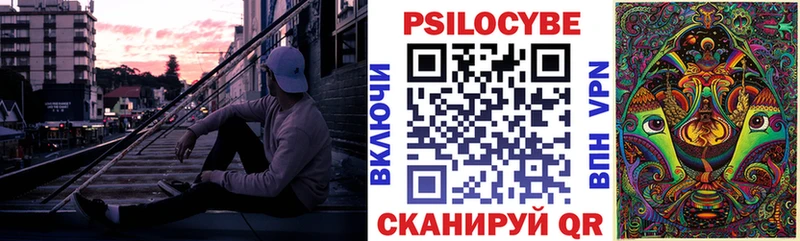 где купить   Балашиха  МЕГА маркетплейс  Псилоцибиновые грибы Psilocybe 