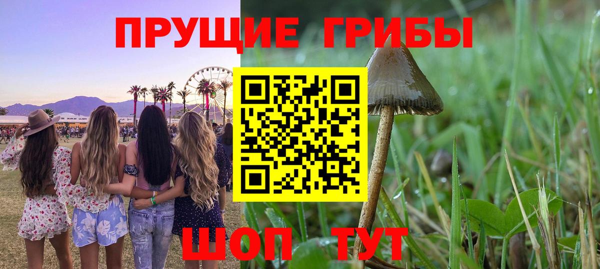 Псилоцибиновые грибы MAGIC MUSHROOMS Балашиха